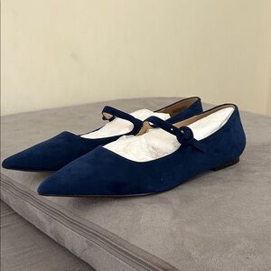 Ann Taylor Navy Blue Suede Flats